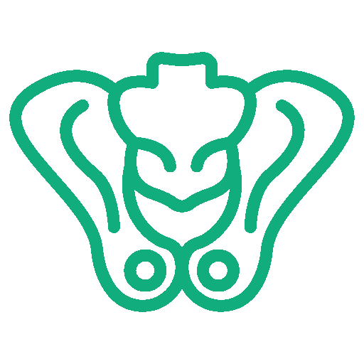 盆底支撑与稳定