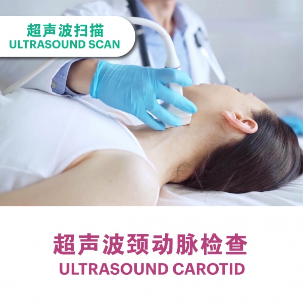 carotid