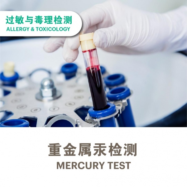 ecommerce_cover_allergy__heavy_metal_v129_7_2025_artboard_1_copy_2-04